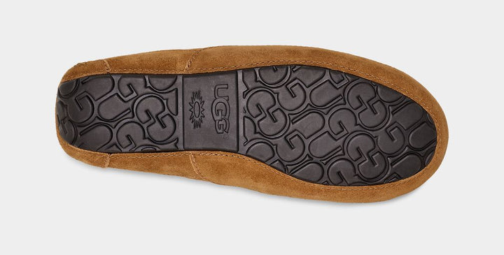UGG M ASCOT - CHESTNUT - Dale