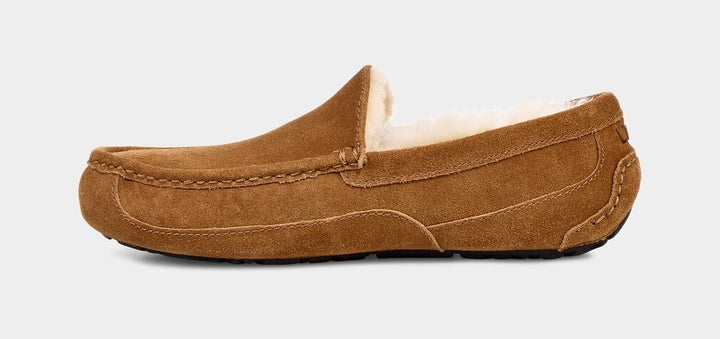 UGG M ASCOT - CHESTNUT - Dale