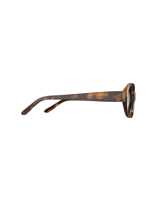 CORLIN EYEWEAR Casena Tortoise Cinnamon - Dale