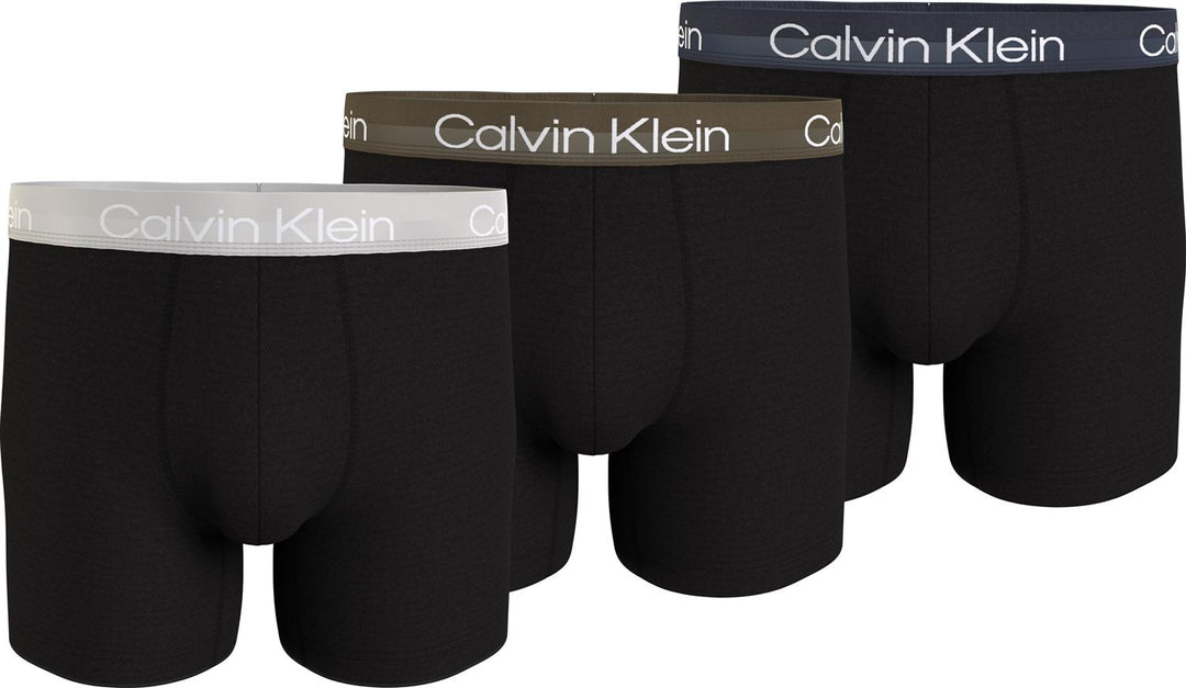 CALVIN KLEIN UNDERWEAR BOXER BRIEF 3PK - Dale
