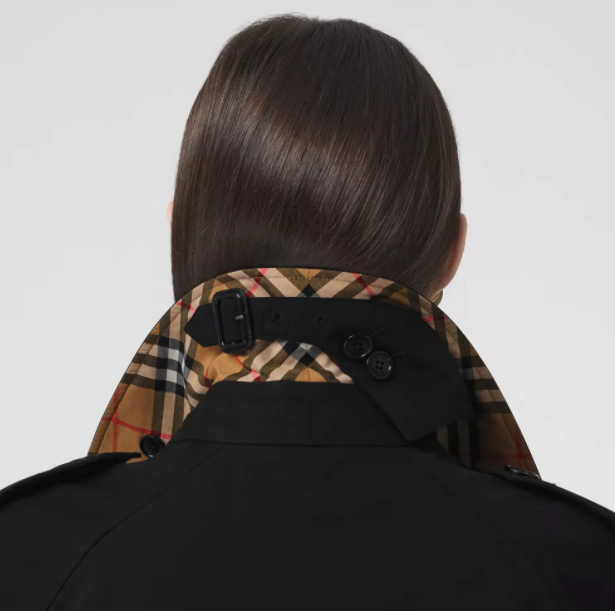 BURBERRY WATERLOO 2:DK:A1189 W RAINWEAR - Dale