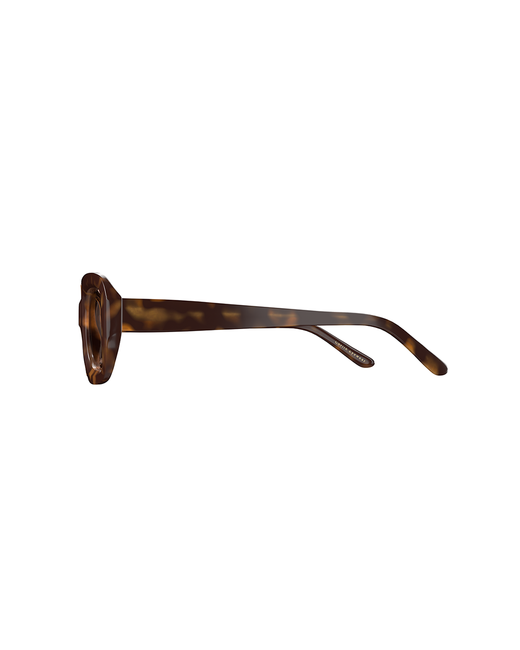 CORLIN EYEWEAR Casena Tortoise Cinnamon - Dale