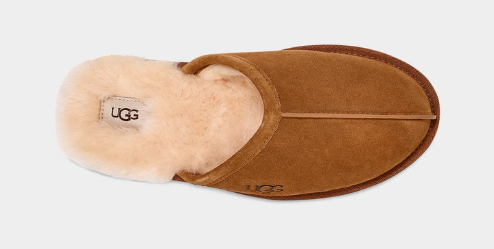 UGG M SCUFF - CHESTNUT - Dale