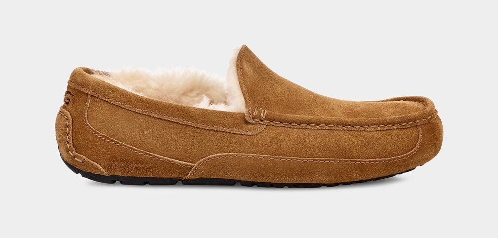 UGG M ASCOT - CHESTNUT - Dale