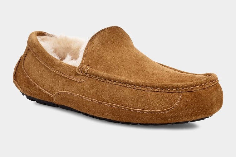 UGG M ASCOT - CHESTNUT - Dale