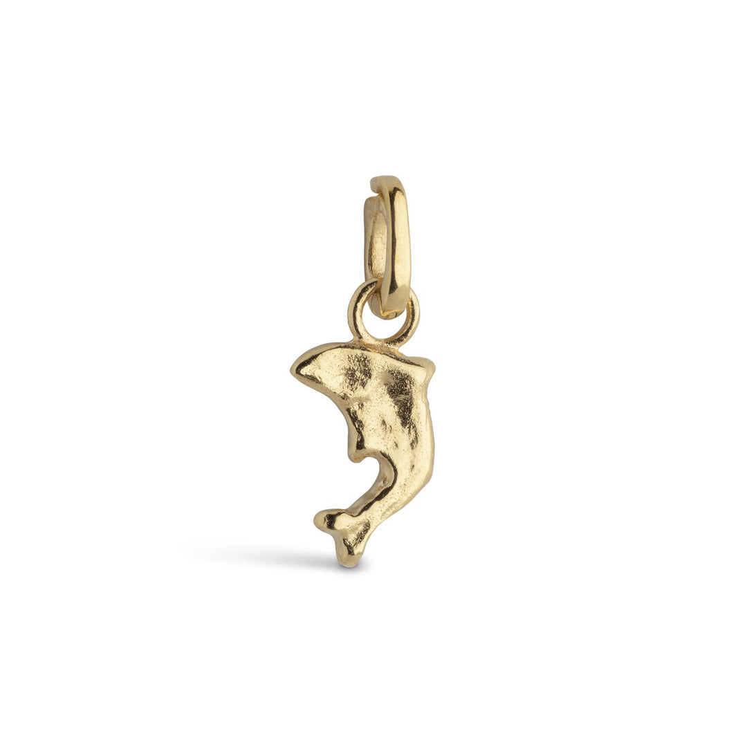 ENAMEL Charm, Joyful Dolphin - Dale