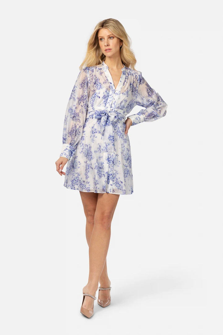 LOVE LOLINA Lenna mini dress - Dale