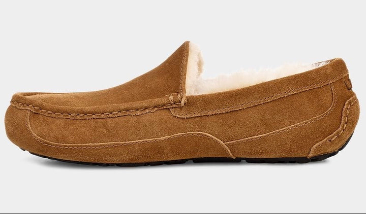M Ascot Chestnut