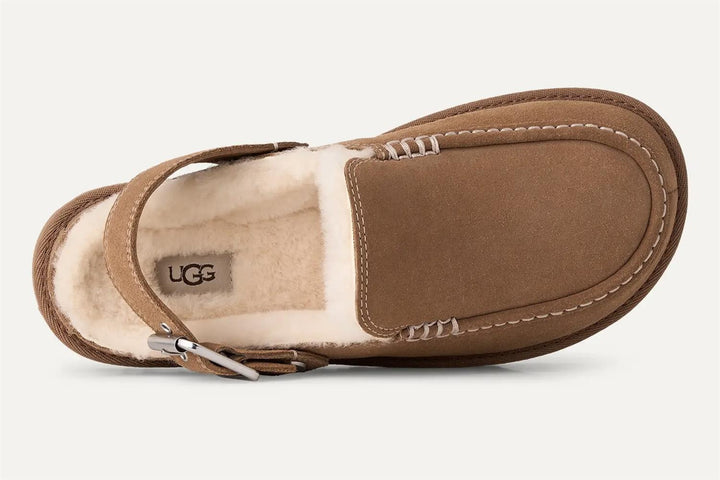 W Goldenstar Evelina Clog Chestnut