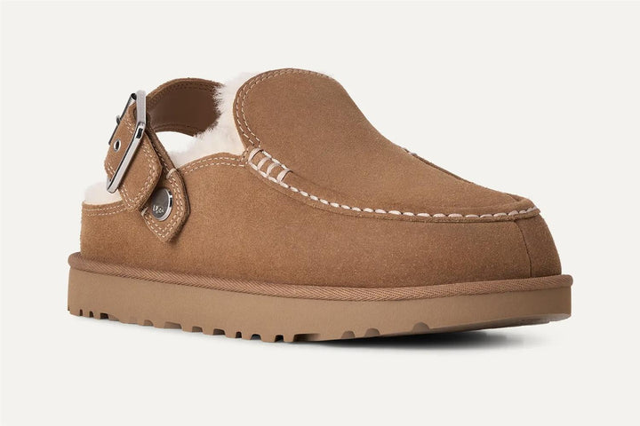 W Goldenstar Evelina Clog Chestnut