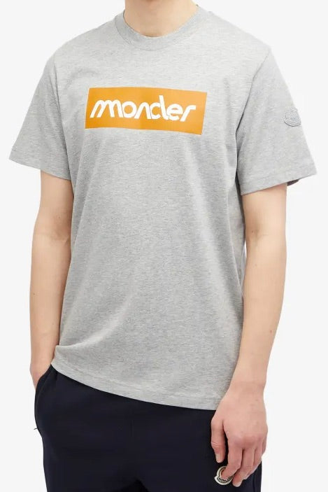 Logo T-Shirt Grey