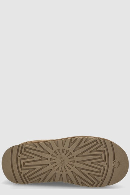 W Tazz Botanic Light Bronze