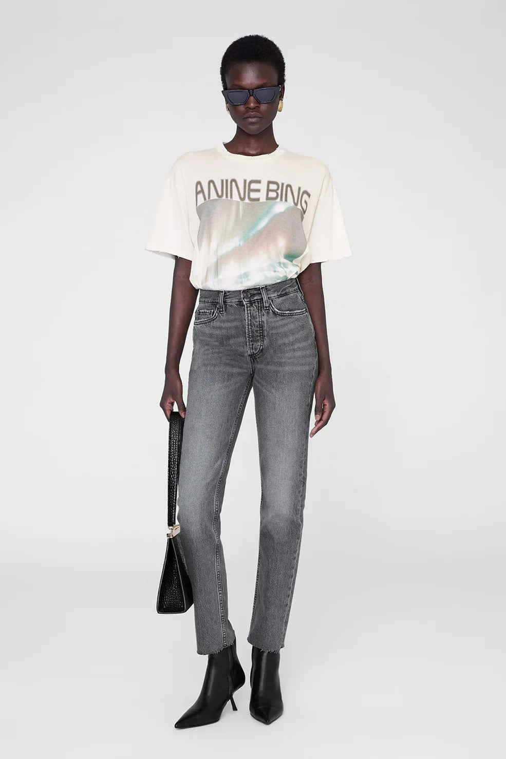 ANINE BING Cade Tee Northern Lights - Dale