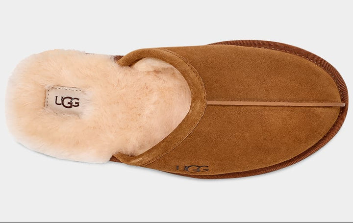 M Scuff Chestnut