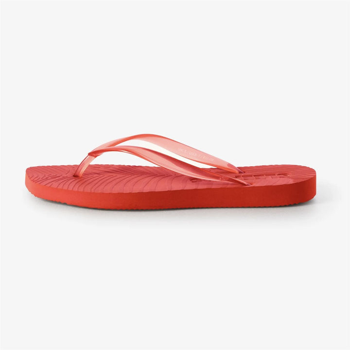 Tapered Red/Transparent