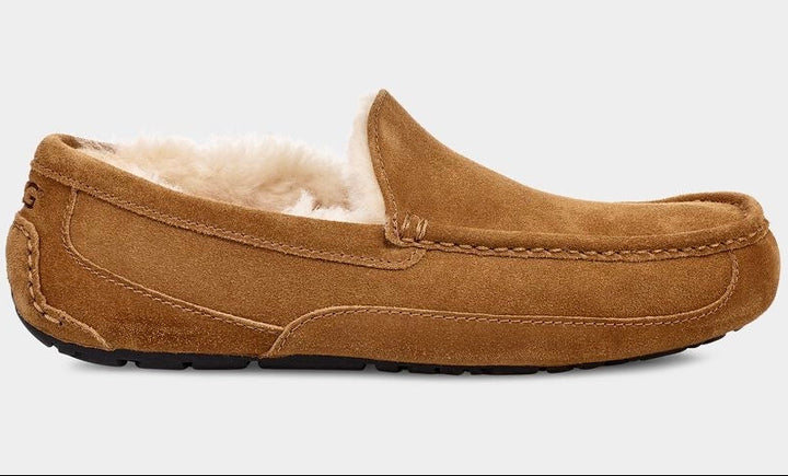 M Ascot Chestnut