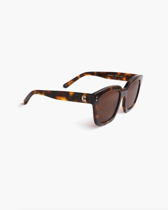 CORLIN EYEWEAR Modena Tortoise Brown - Dale