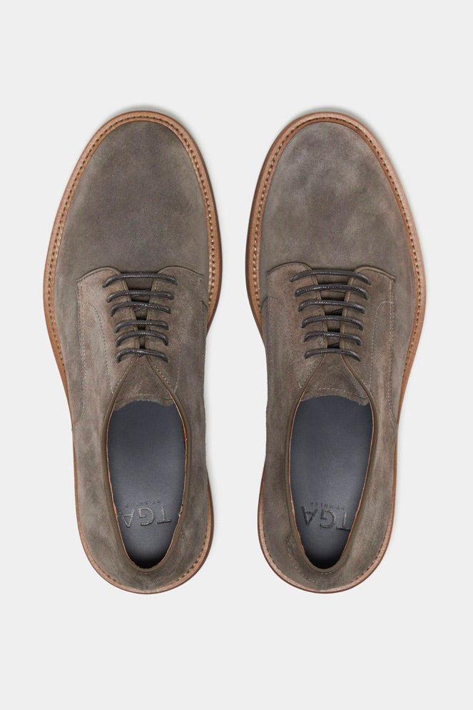 TGA 2450 Suede Shoe - Dale