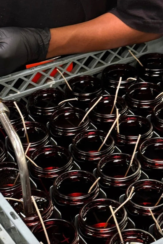 No. XC25 Cathedral Clove Soy Candle