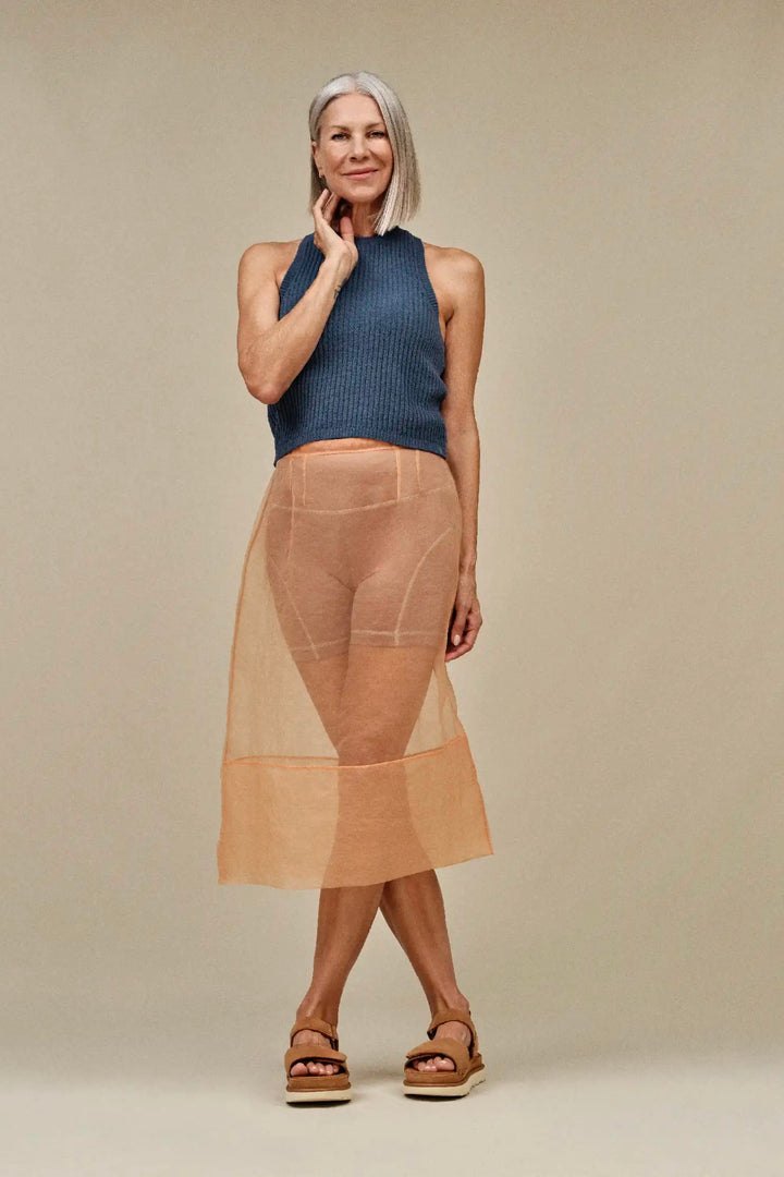 W Goldenstar Chestnut