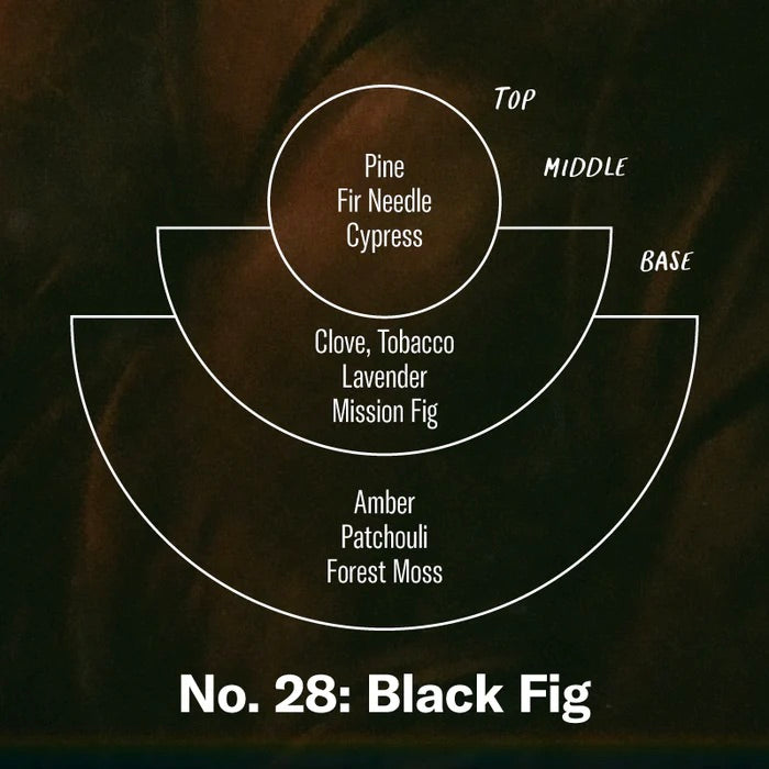 No. 28 Black Fig Standard Candle