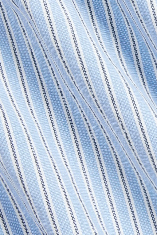 Classic Fit Oxford Shirt Blue/White Multi