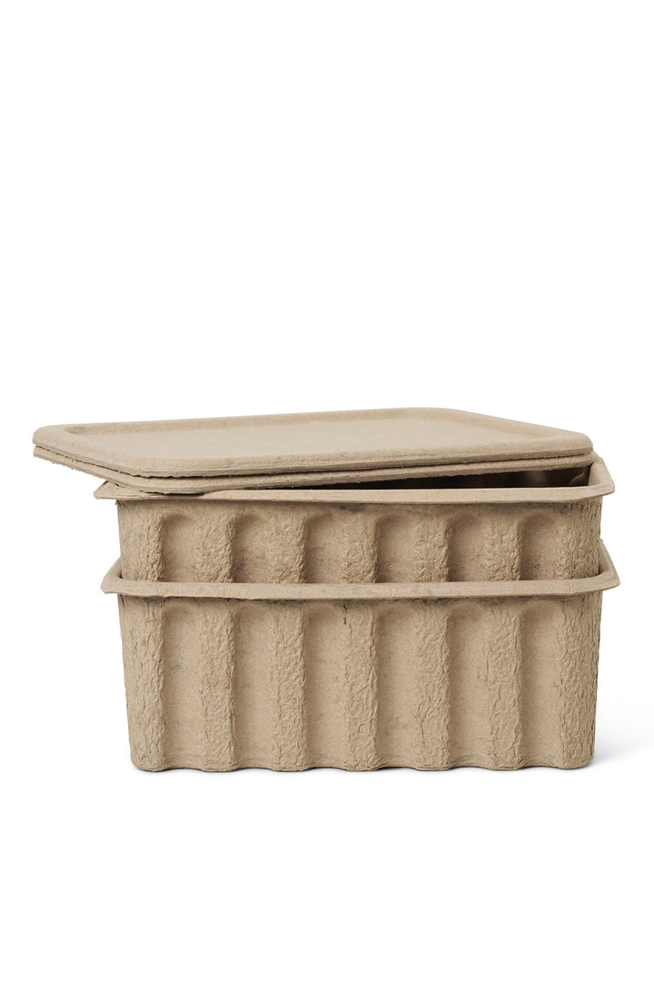Paper Pulp Box Set of 2  Large