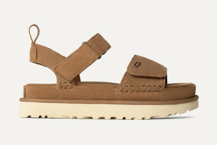 W Goldenstar Chestnut