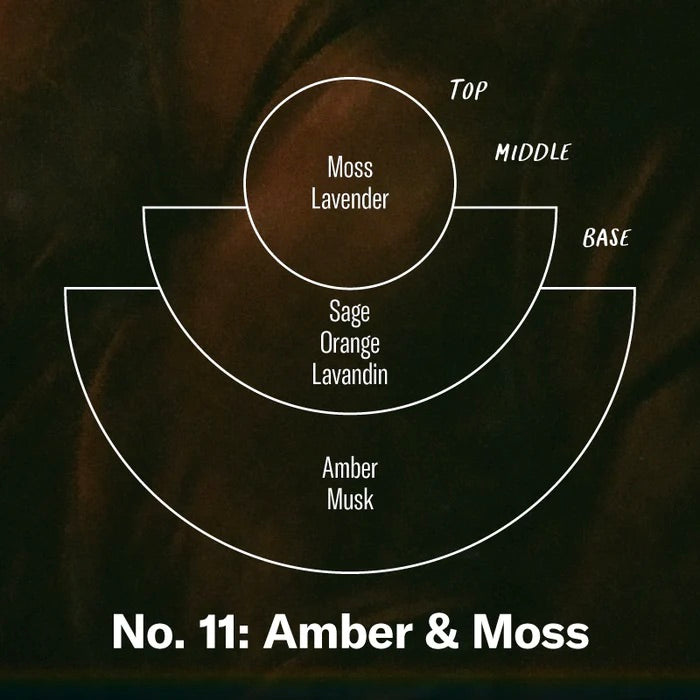 No. 11 Amber & Moss Standard Candle