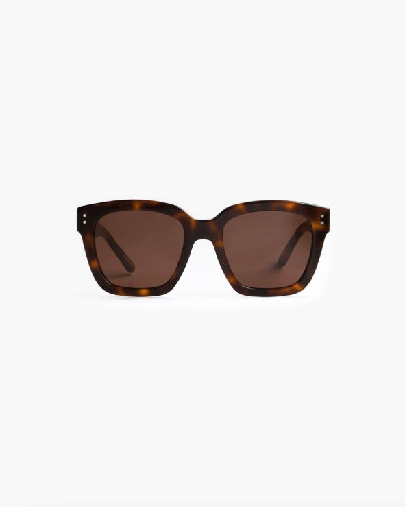 CORLIN EYEWEAR Modena Tortoise Brown - Dale