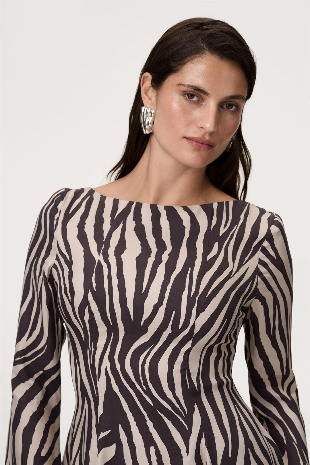 Riom Mini Dress Brown Zebra