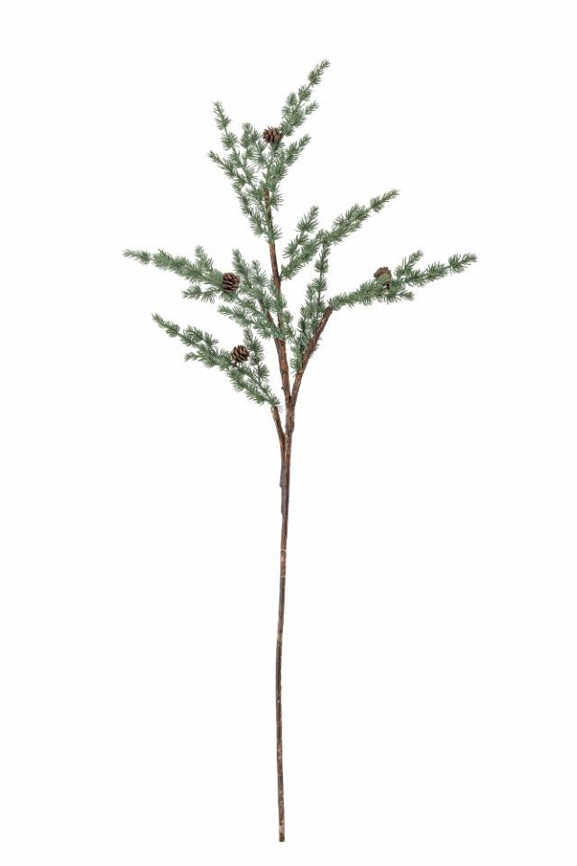 Pine Stem