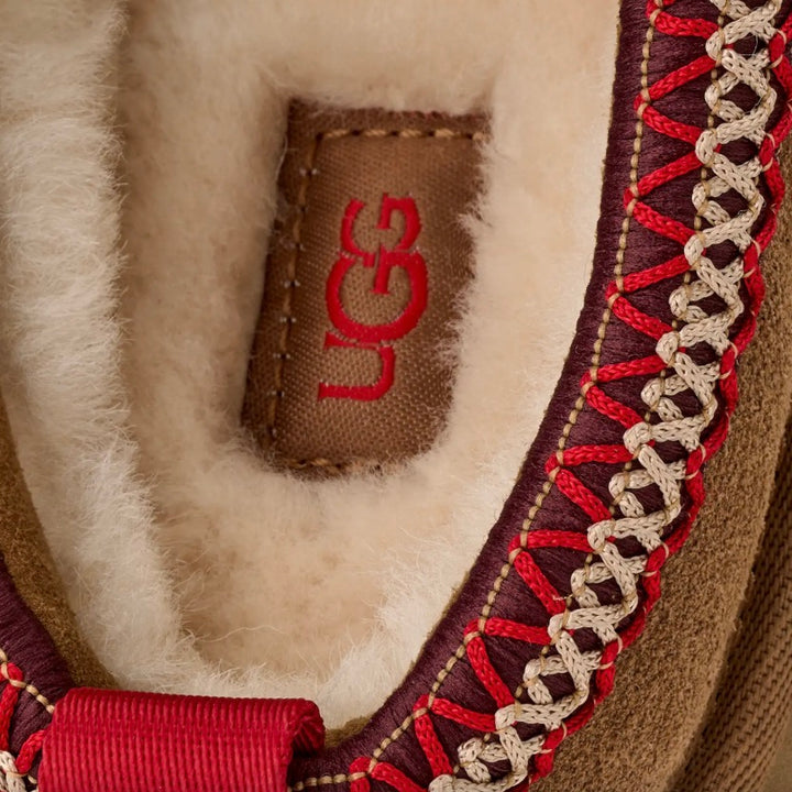 UGG W Tazz II Chestnut - Dale