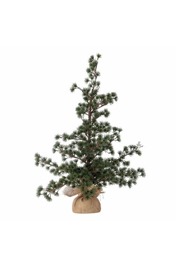 Cedar Christmas Tree Green
